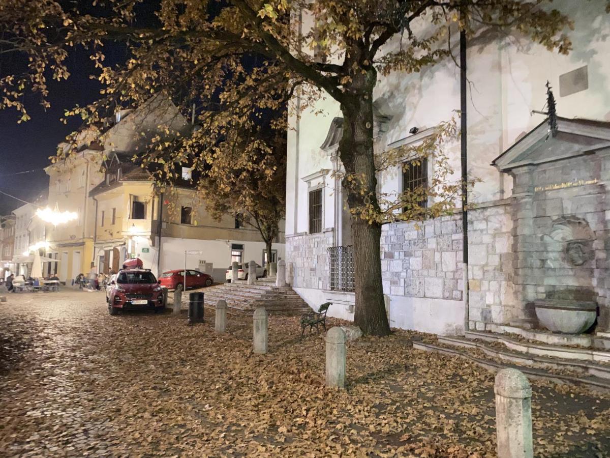 Villa Pod Gradom Любляна Экстерьер фото